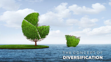 what is diversification levels of diversification examples